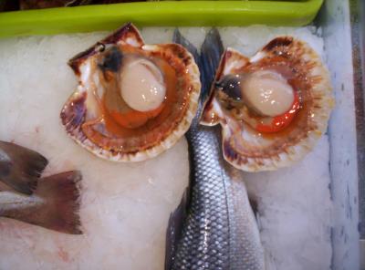 Coquilles saint jacques ouvertes